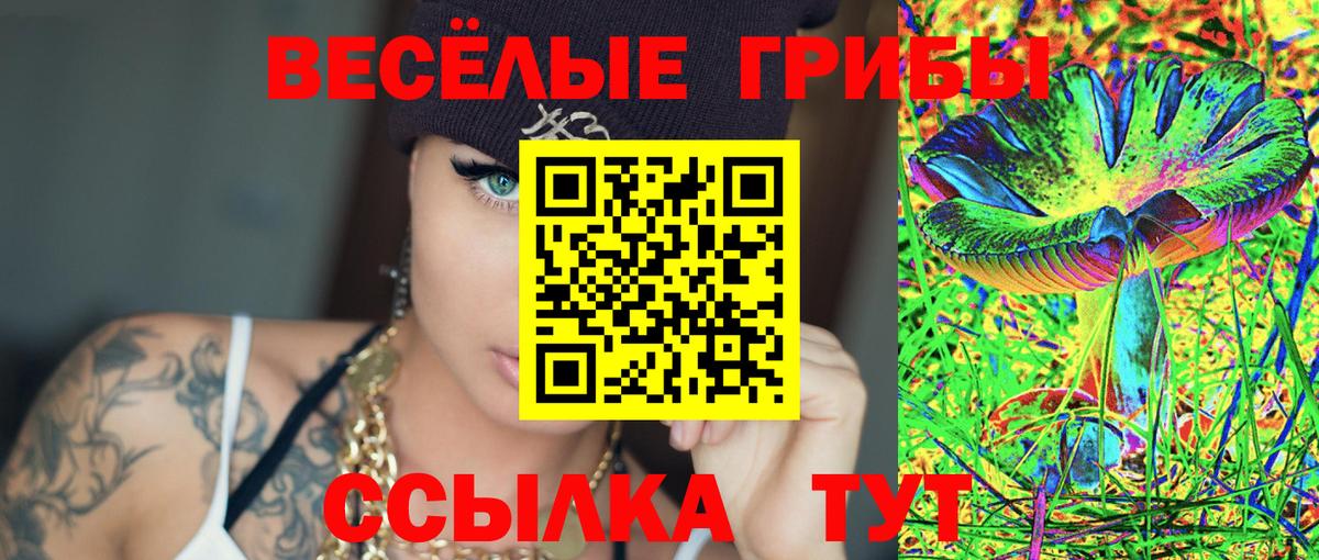 Псилоцибиновые грибы мицелий Нарьян-Мар